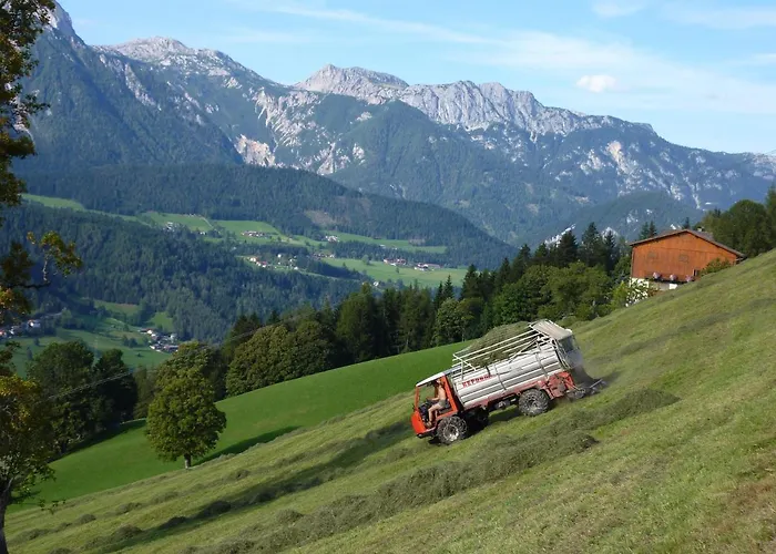 Mitterwallnerhof Apartment *